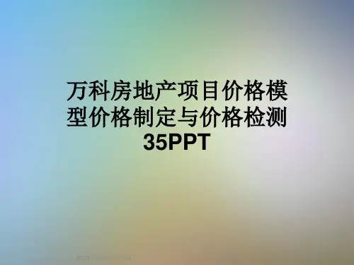 万科房地产项目价格模型价格制定与价格检测35PPT