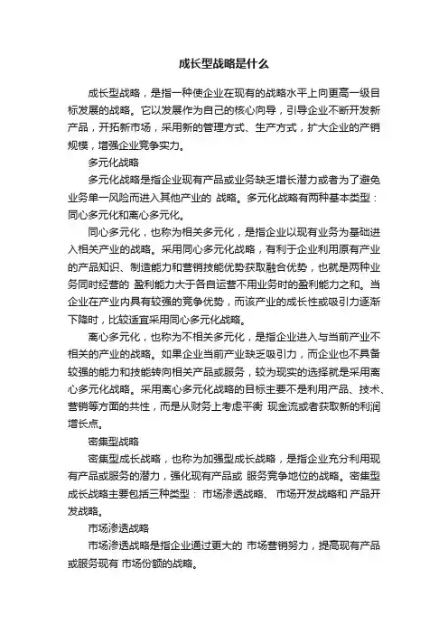 成长型战略是什么
