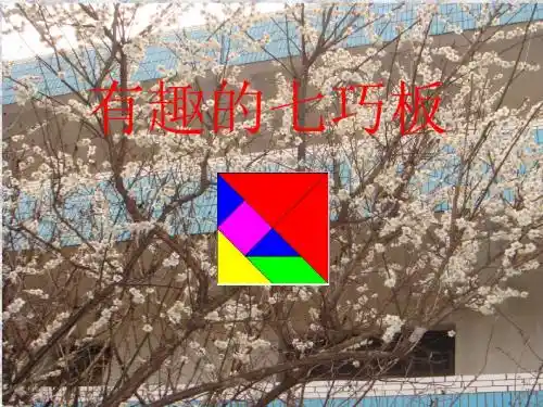 有趣的七巧板课件