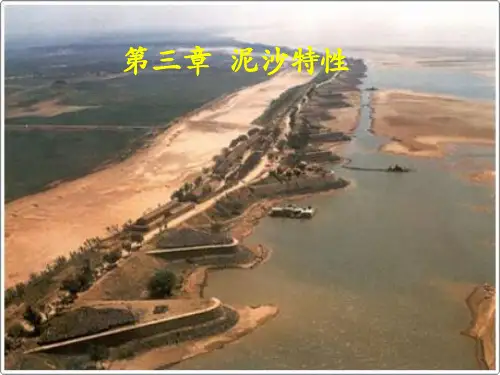 河流动力学第三章 泥沙特性