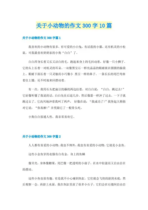 关于小动物的作文300字10篇