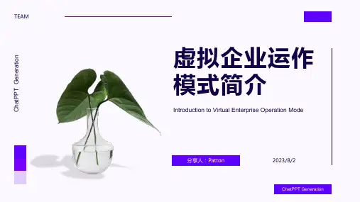 2023年虚拟企业的运作与管理模式分析报告模板