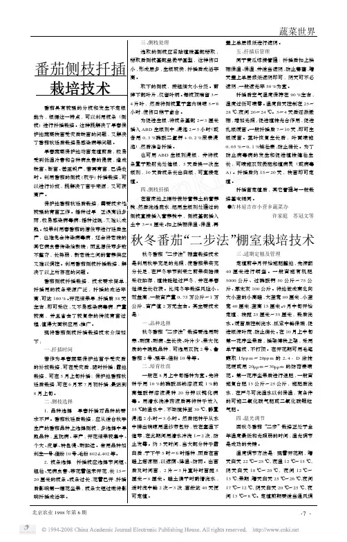 番茄侧枝扦插栽培技术