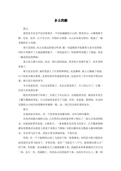 乡土风貌写作文900字