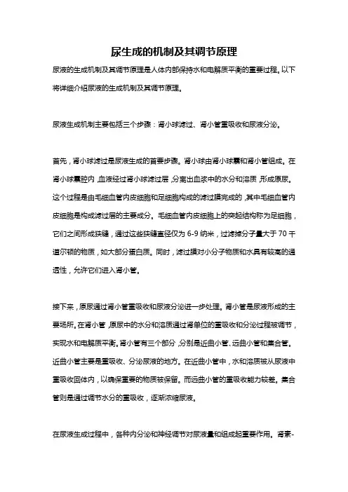 尿生成的机制及其调节原理