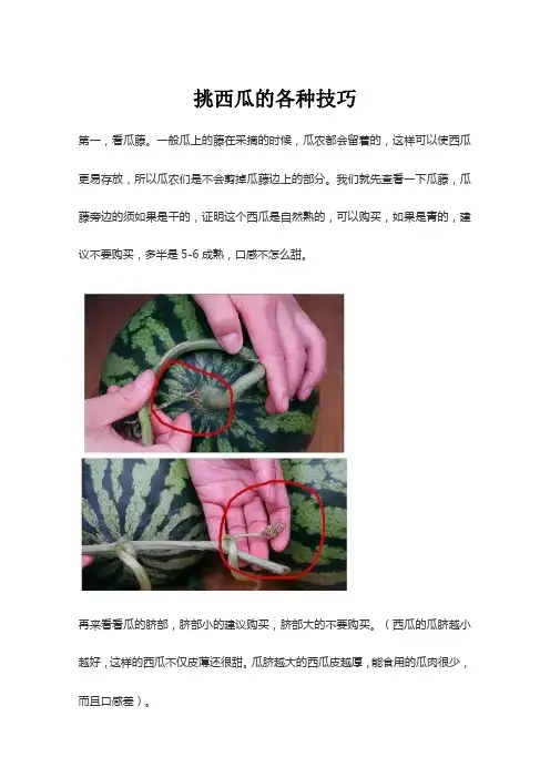 挑西瓜的各种技巧