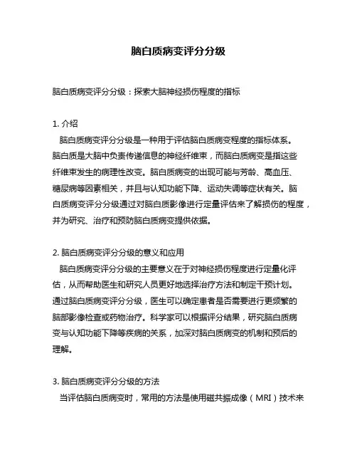 脑白质病变评分分级