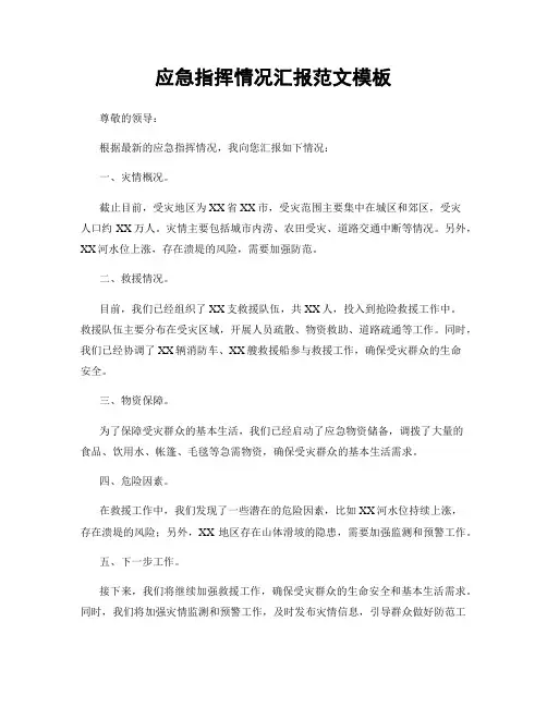 应急指挥情况汇报范文模板