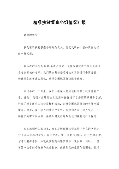 精准扶贫督查小组情况汇报