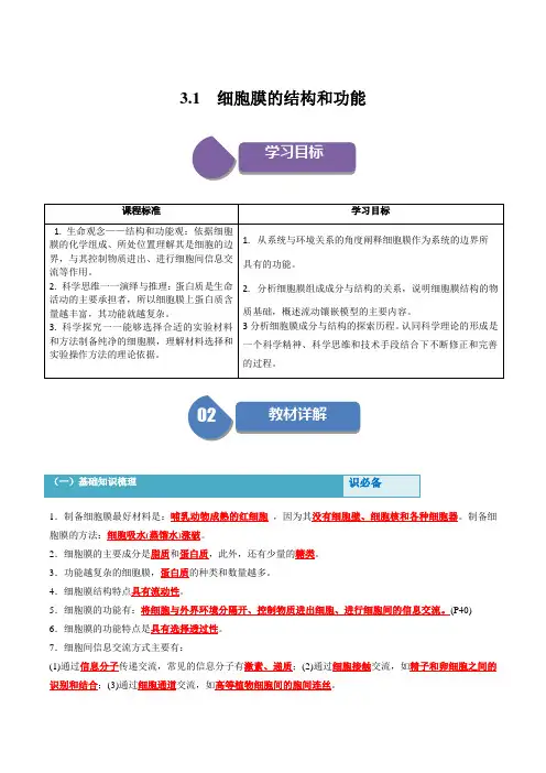 细胞膜的结构和功能