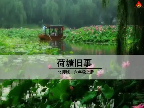 荷塘旧事