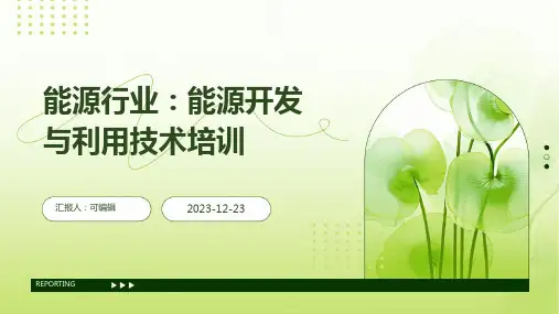 能源行业：能源开发与利用技术培训ppt