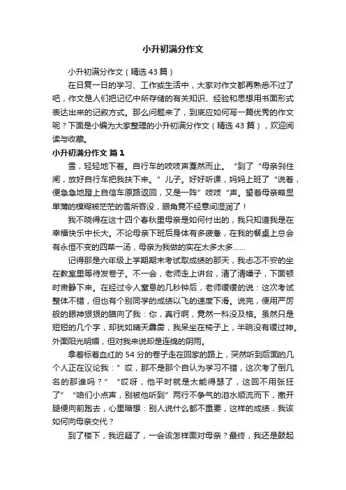 小升初满分作文（精选43篇）