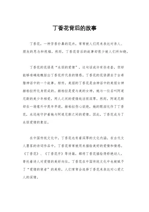 丁香花背后的故事