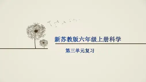 新苏教版六年级上册科学-第三单元复习-消逝的恐龙导-【通用,经典教育教学资料】