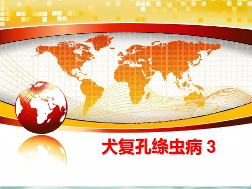 犬复孔绦虫病