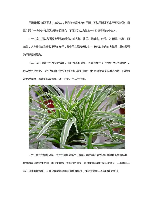 快速清除室内甲醛的几种小偏方