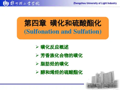 磺化反应影响因素