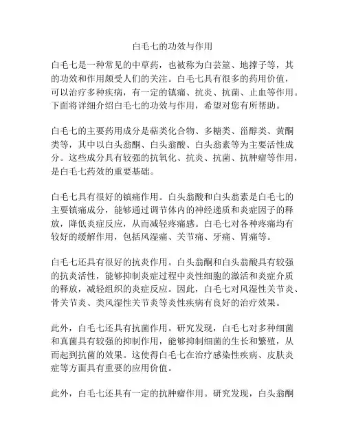 白毛七的功效与作用