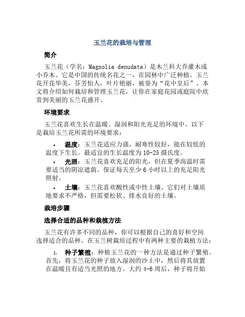 玉兰花的栽培与管理