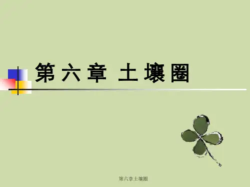 第六章土壤圈