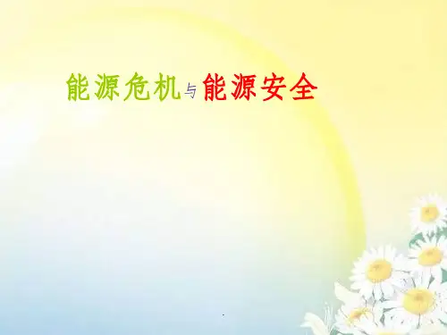 能源危机与能源安全ppt课件