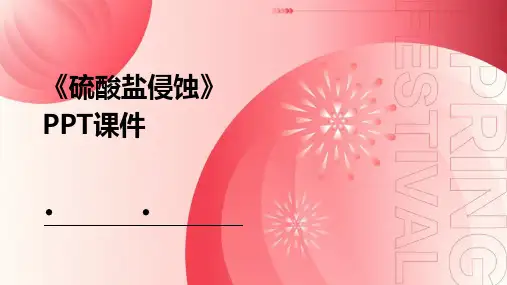 《硫酸盐侵蚀》课件
