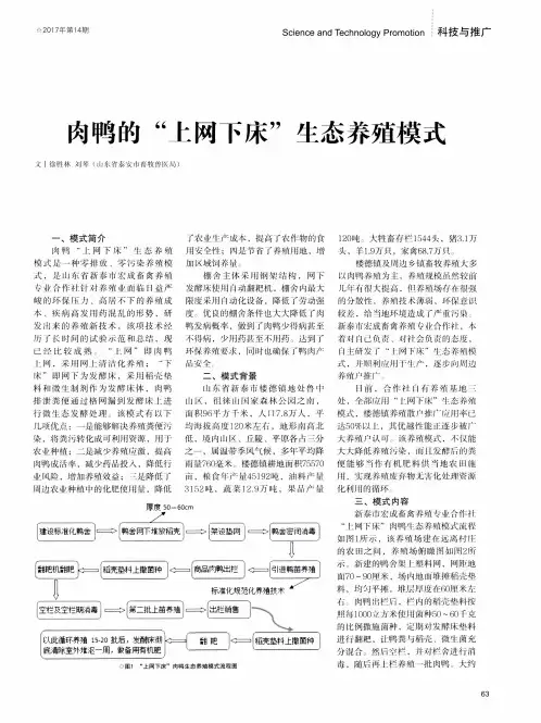 肉鸭的“上网下床”生态养殖模式