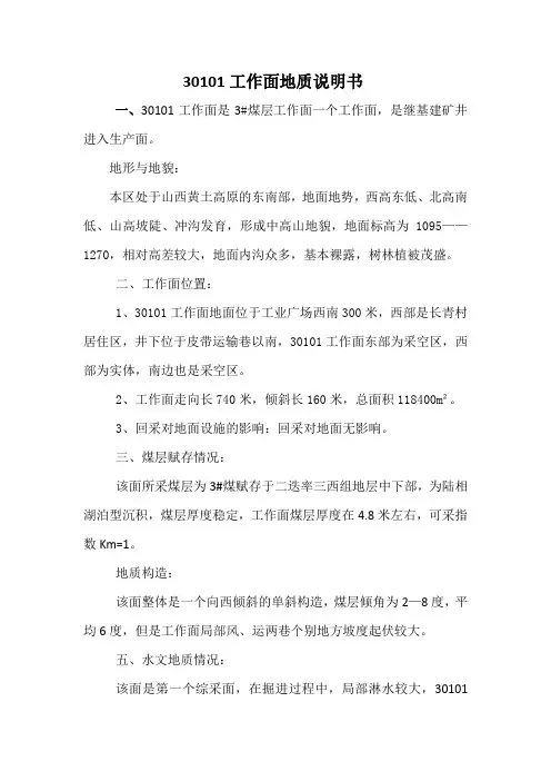 30101工作面地质说明书