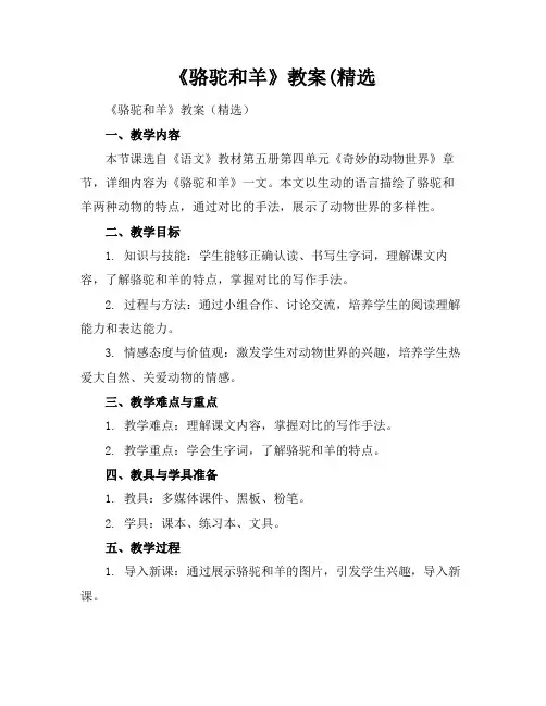 《骆驼和羊》教案(精选