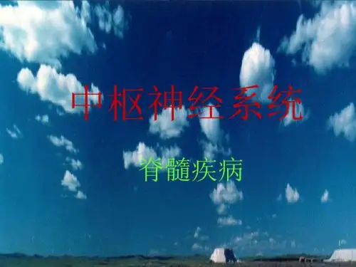 中枢神经系统脊髓疾病