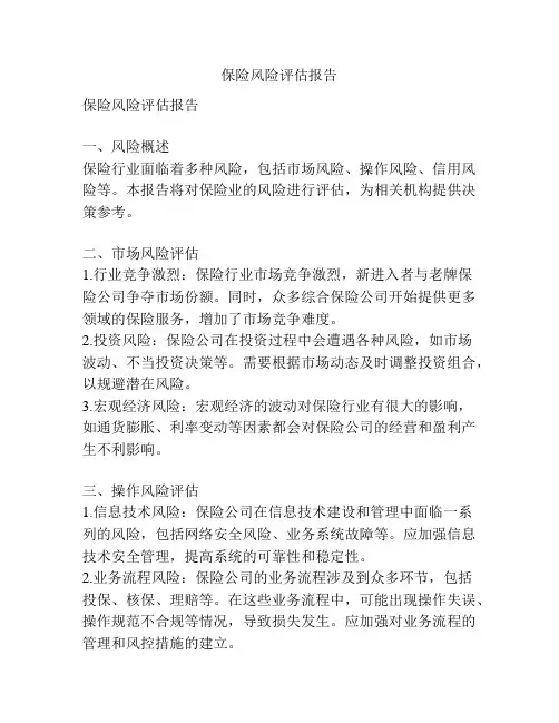 保险风险评估报告