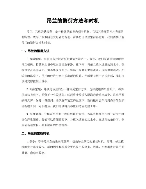 吊兰的繁衍方法和时机