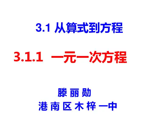 人教版 初中数学七年级上册3.1.1 一元一次方程(共20张PPT)