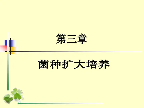 菌种扩大培养