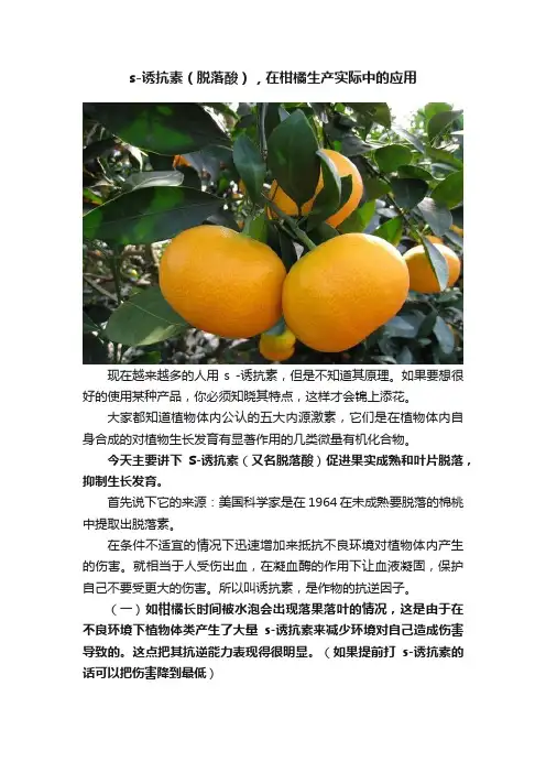 s-诱抗素（脱落酸），在柑橘生产实际中的应用