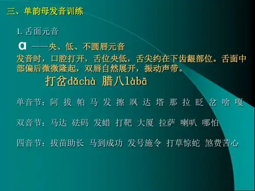 普通话韵母培训(dudu)