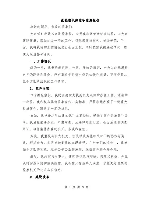 副检察长终述职述廉报告