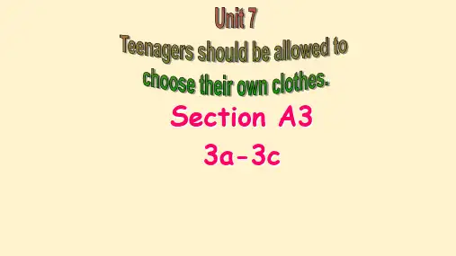 Unit7SectionA3a-3c课件人教版英语九年级全册
