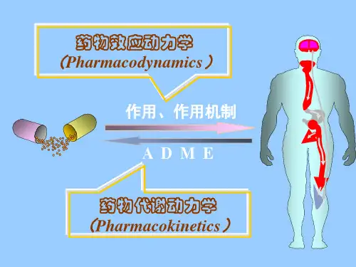 第2章  药物代谢动力学