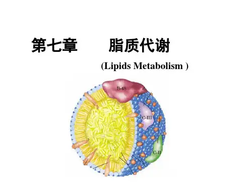 生物化学-脂质代谢