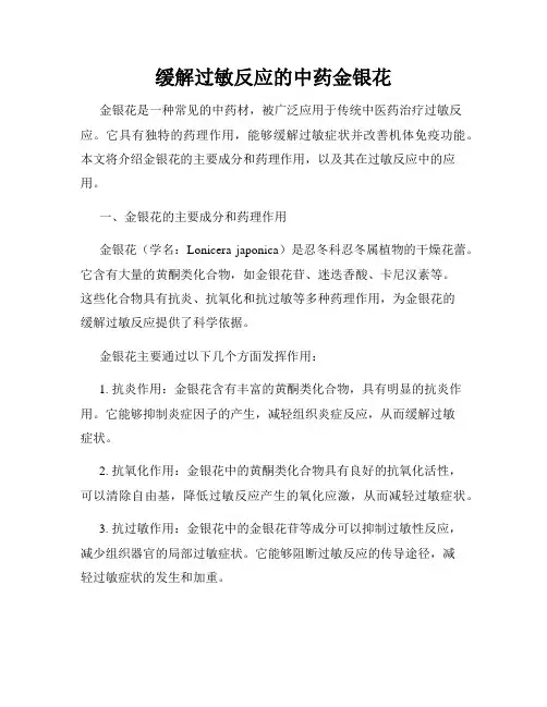 缓解过敏反应的中药金银花
