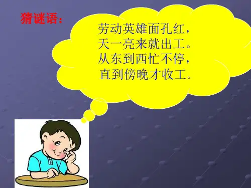 25太阳是大家的(陈)PPT课件