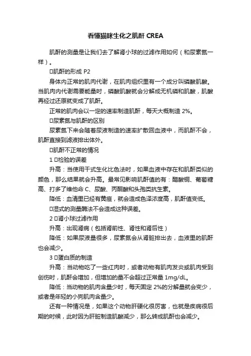看懂猫咪生化之肌酐CREA