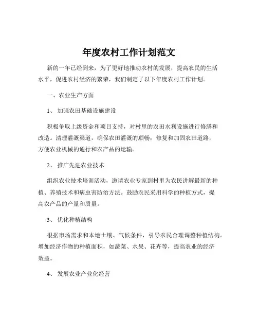 年度农村工作计划范文