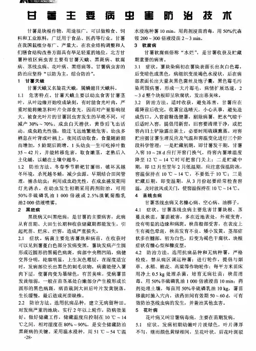 甘薯主要病虫害防治技术