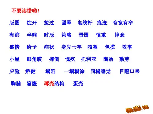 苏教版小学语文四年级上册期末总复习