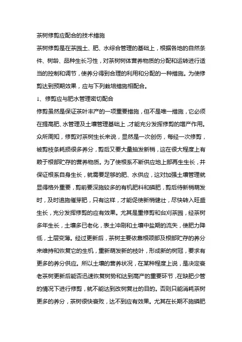 茶树修剪应配合的技术措施