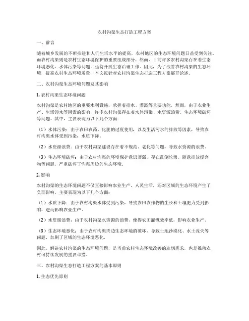农村沟渠生态打造工程方案
