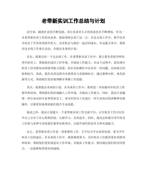 老带新实训工作总结与计划